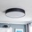 TK Lighting 4409