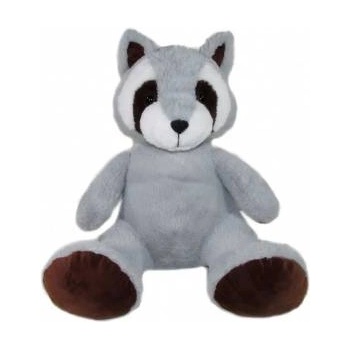 SUN-DAY RACCOON