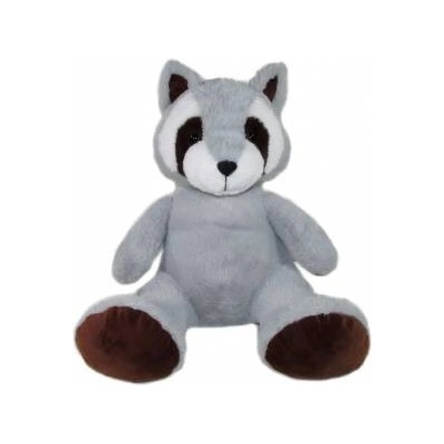 SUN-DAY RACCOON