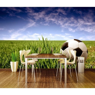 Dimex XL-250 vliesová fototapeta na zeď Soccer ball rozměry 330 x 220 cm