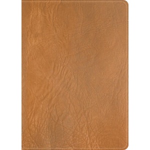 CSB He Reads Truth Bible, Holman Handcrafted Collection, Saddle Brown Premium Calfskin | He Reads Truth (ISBN: 9798384533214)