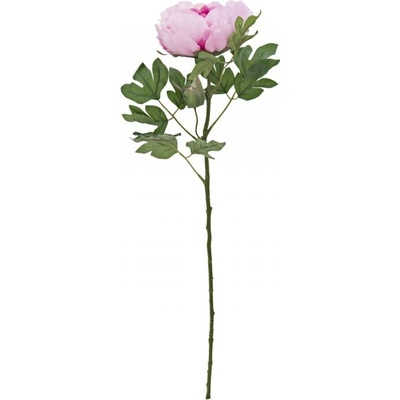Větvička pivoňky růžová, 80 cm