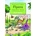 Young Learners Flyers