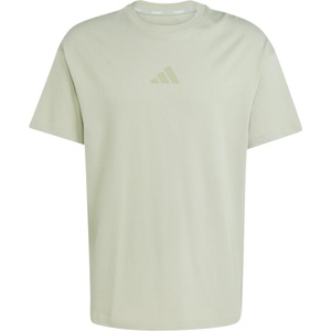 adidas Terrex Мъжка спортна тениска adidas Terrex MT MP Tee Sport shirt - Halo Green - размер XL (216-7555-0115)