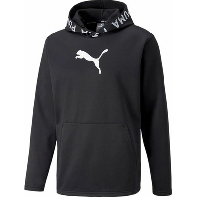 Puma Train Pwr Fleece M 520893 01