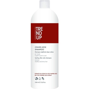 Trend up Color Lock Šampon pro barvené vlasy antioxidační s kyselým pH 1000 ml