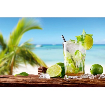 DIMEX ART s. r. o Флизелинов фототапет мохито на плажа 375 x 250 см