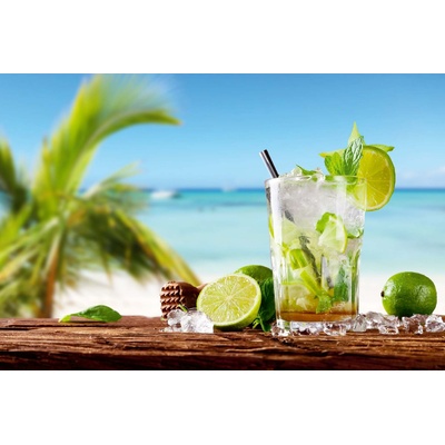 DIMEX ART Флизелинов фототапет мохито на плажа 375 x 250 см