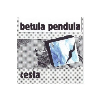 Cesta - Betula pendula