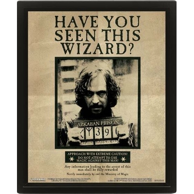 Pyramid International 3D obraz Harry Potter Sirius