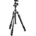 Manfrotto Befree 2N1