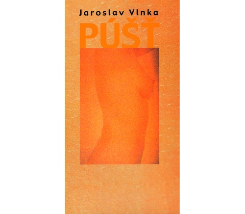 Púšť - Jaroslav Vlnka