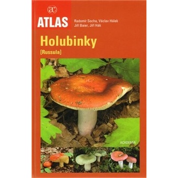 Holubinky
