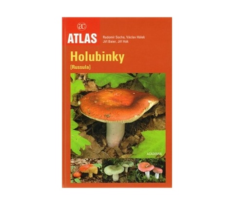 Holubinky