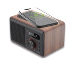 Carneo W100 DAB+