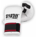 Spartan Sport karate