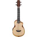 Ibanez AUC10E-OPN