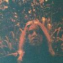 Turnover: Peripheral Vision LTD LP