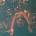 Turnover: Peripheral Vision LTD LP