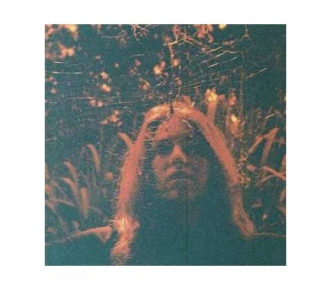 Turnover: Peripheral Vision LTD LP