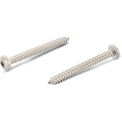 INOX DIN 7981 C šroub do plechu s půlkulatou hlavou, drážka vnitřní 4HR. SQUARE, nerez A2 Varianta: DIN 7981 C šroub do plechu půlkulatá hlava, drážka SQUARE, nerez A2 4,8X32 SQ2 – Zbozi.Blesk.cz