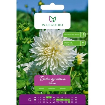W. Legutko Бяла далия Fleurel, 1 брой