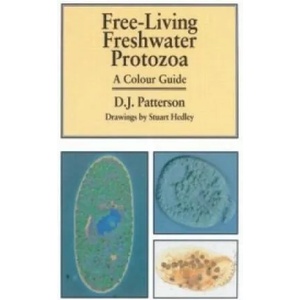 Freeliving Freshwater Protozoa | Stuart Hedley (ISBN: 9781874545408)