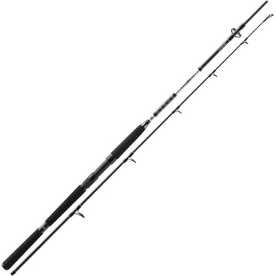 Daiwa BG Boat 2,1m 150-400g 2 diely