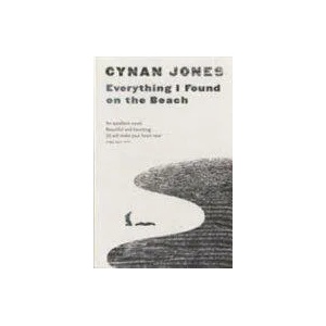 Everything I Found on the Beach | Cynan Jones (2014)