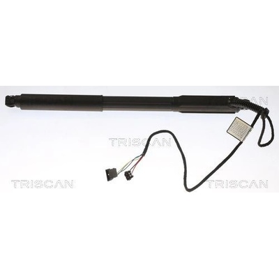 Pneumatická pružina kufor/úložný priestor TRISCAN 8710 11303