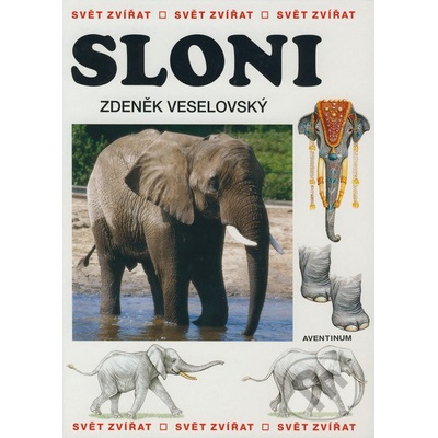 Sloni - Zdeněk Veselovský