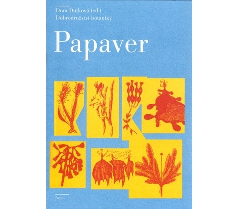 Papaver - Dora Dutková