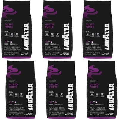 Lavazza Expert Gusto Forte 6 x 1 kg