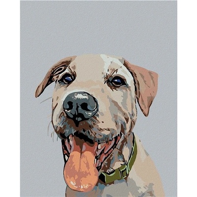 zuty Malování podle čísel Pes se zeleným obojkem 80 x 100 cm bez rámu a bez vypnutí plátna