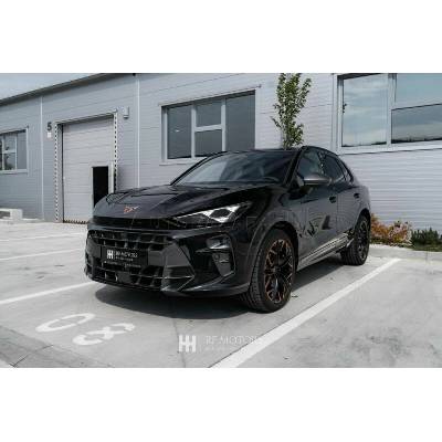 Cupra Terramar VZ 195 kW