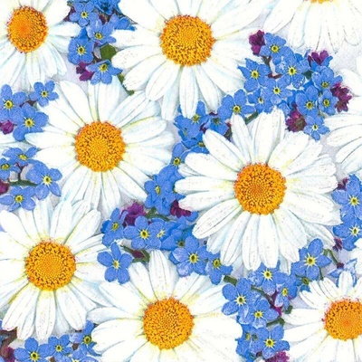 MAKI SLWI 007001 Daisies & Forget-me-nots servítky 3V 20ks 33x33cm