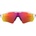 Oakley Radar EV Path OO9208-72