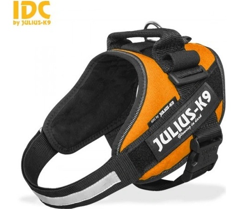 Julius-K9 IDC Postroj Power