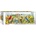 EUROGRAPHICS - Puzzle Garden Birds - 1 000 piese