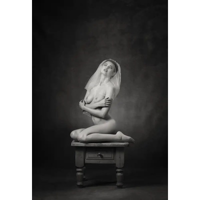 Fotografie - Studio, Catchlight: Závoj - reprodukce obrazu