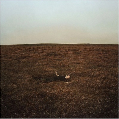 Fink - The City Is Coming To Erase It All (CD) (5053760143390)