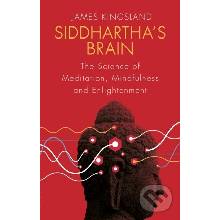 Siddhartha's Brain - James Kingsland