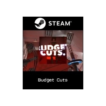 Budget Cuts