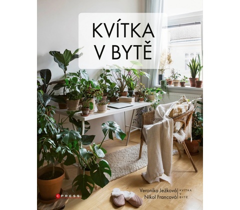 Kvítka v bytě