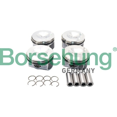 Borsehung B13583 – Sleviste.cz