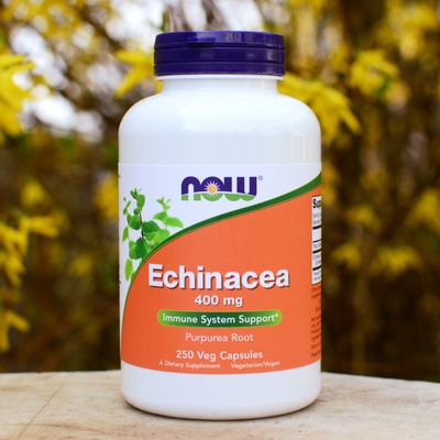 Now Foods Echinacea Třapatka 400 mg 250 rostlinných kapsúl