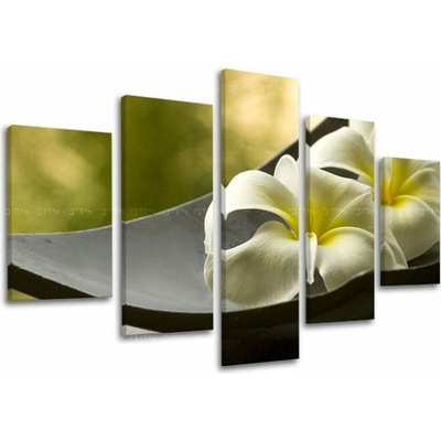 Päťdielny obraz kvetov plumerie v bielej a žltej na plátne – Feng Shui - 100x80 cm