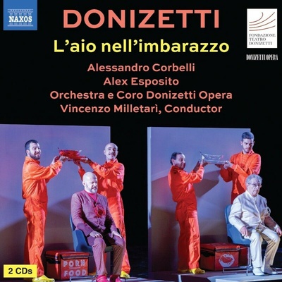 Gaetano Donizetti : L'aio nell'imbarazzo (Vincenzo Milletari) CD