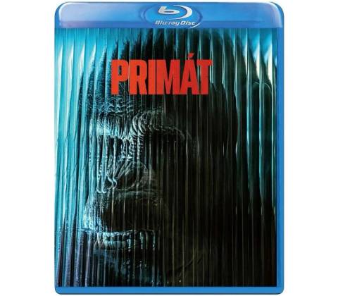 Primát BD