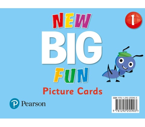 Big Fun Refresh Level 1 Picture Cards